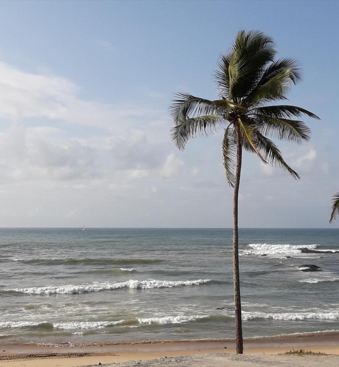 Salvador Surf Hostel Bagian luar foto
